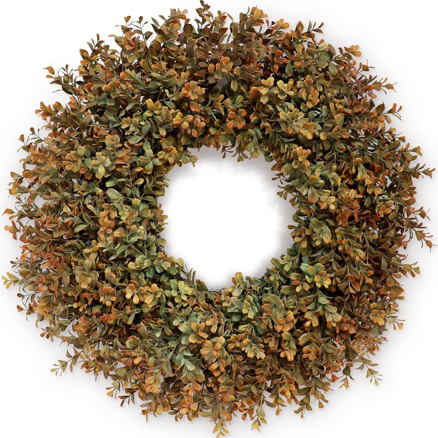Autumn Boxwood Wreath — 22"